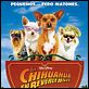 Un chihuahua en Beverly Hills