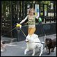 Si la cosa funciona : photo Evan Rachel Wood, Woody Allen