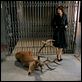 Visage : photo Fanny Ardant, Tsai Ming-liang