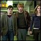 Harry Potter y las reliquias de la muerte: Parte 1 : photo Daniel Radcliffe, David Yates, Emma Watson, Rupert Grint