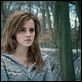 Harry Potter y las reliquias de la muerte: Parte 1 : photo David Yates, Emma Watson