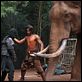 Ong Bak 2