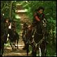 Ong Bak 2