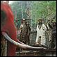 Ong Bak 2