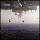 District 9 : photo Neill Blomkamp