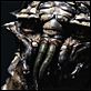 District 9 : photo Neill Blomkamp