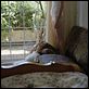 Canino : photo Giorgos Lanthimos