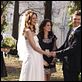 One Tree Hill