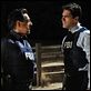 Mentes criminales