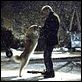 Siempre a tu lado. Hachiko : photo Lasse Hallström