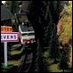 L'Epine dans le coeur : photo Michel Gondry