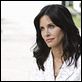 Cougar Town : photo Courteney Cox