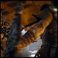 Furia de titanes : photo Louis Leterrier