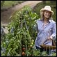 No es tan fácil : photo Meryl Streep, Nancy Meyers