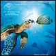OceanWorld 3D