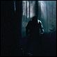 El hombre lobo