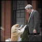 Siempre a tu lado. Hachiko : photo Richard Gere