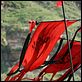 Acantilado rojo