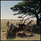 Viaje mágico a África