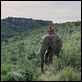 Viaje mágico a África