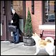 Siempre a tu lado. Hachiko : photo Lasse Hallström