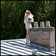 El pastel de boda : photo Clémence Poésy, Denys Granier-Deferre