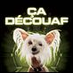 Como perros y gatos: La revancha de Kitty Galore : poster Brad Peyton