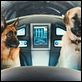 Como perros y gatos: La revancha de Kitty Galore : photo Brad Peyton, Kevin Lima