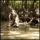 photo Bruno Solo, Claudio Santamaria, Clovis Cornillac, Eric Besnard, Patrick Chesnais