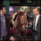 Cómo conocí a vuestra madre : photo Josh Radnor, Neil Patrick Harris