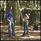 Perdidos : photo Evangeline Lilly, Josh Holloway