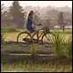 Come Reza Ama : photo Julia Roberts, Ryan Murphy