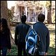 Crónicas vampíricas