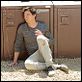 Weeds : photo Hunter Parrish