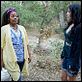 Weeds