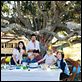 El árbol : photo Charlotte Gainsbourg, Julie Bertuccelli, Marton Csokas, Morgana Davies