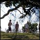 El árbol : photo Charlotte Gainsbourg, Julie Bertuccelli, Marton Csokas, Morgana Davies