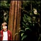 Siempre a mi lado (Charlie St. Cloud) : photo Amanda Crew, Burr Steers, Zac Efron