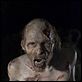 The Walking Dead