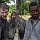 The Walking Dead