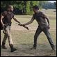 The Walking Dead