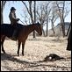 Valor de ley (True Grit)