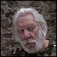 Los Pilares de la Tierra : photo Donald Sutherland