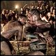 Spartacus: Sangre y arena : photo Andy Whitfield