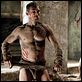 Spartacus: Sangre y arena : photo Andy Whitfield