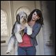Las Chicas Gilmore : photo Lauren Graham