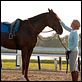Secretariat : photo Diane Lane, Randall Wallace