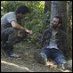 The Walking Dead
