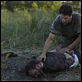 The Walking Dead