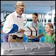 La gran aventura de Winter el delfín : photo Charles Martin Smith, Cozi Zuehlsdorff, Harry Connick Jr, Morgan Freeman, Nathan Gamble